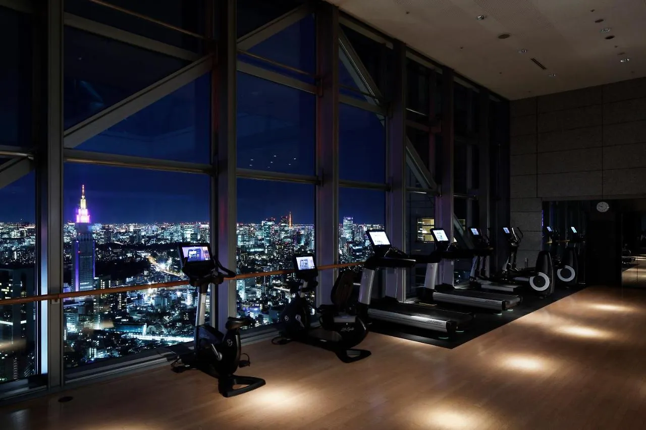 מלון Park Hyatt טוקיו 5*,  יפן