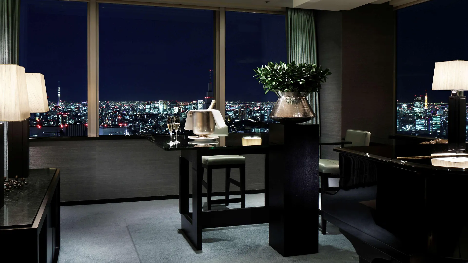 מלון Park Hyatt טוקיו 5*,