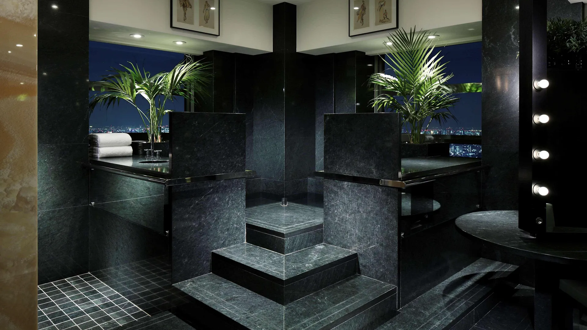 *****  מלון Park Hyatt טוקיו יפן