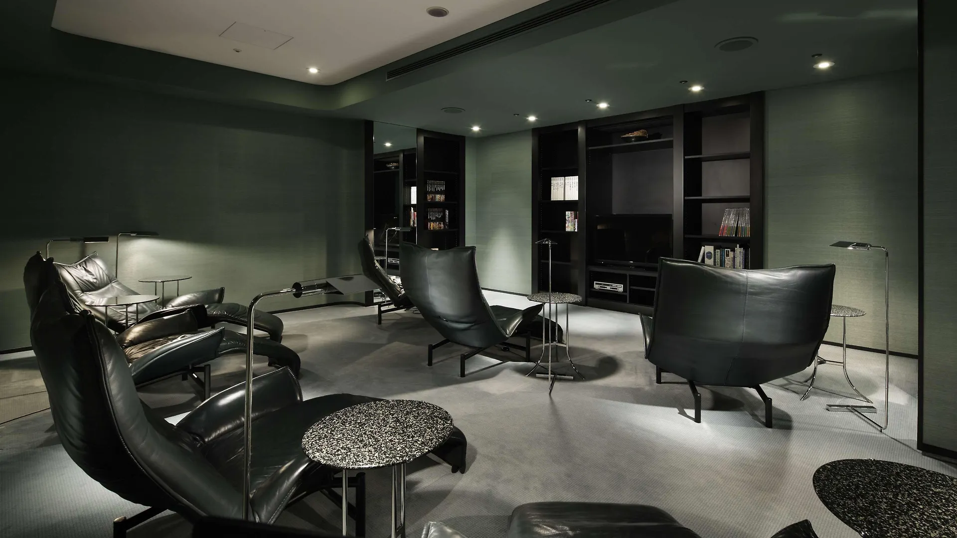 מלון Park Hyatt טוקיו
