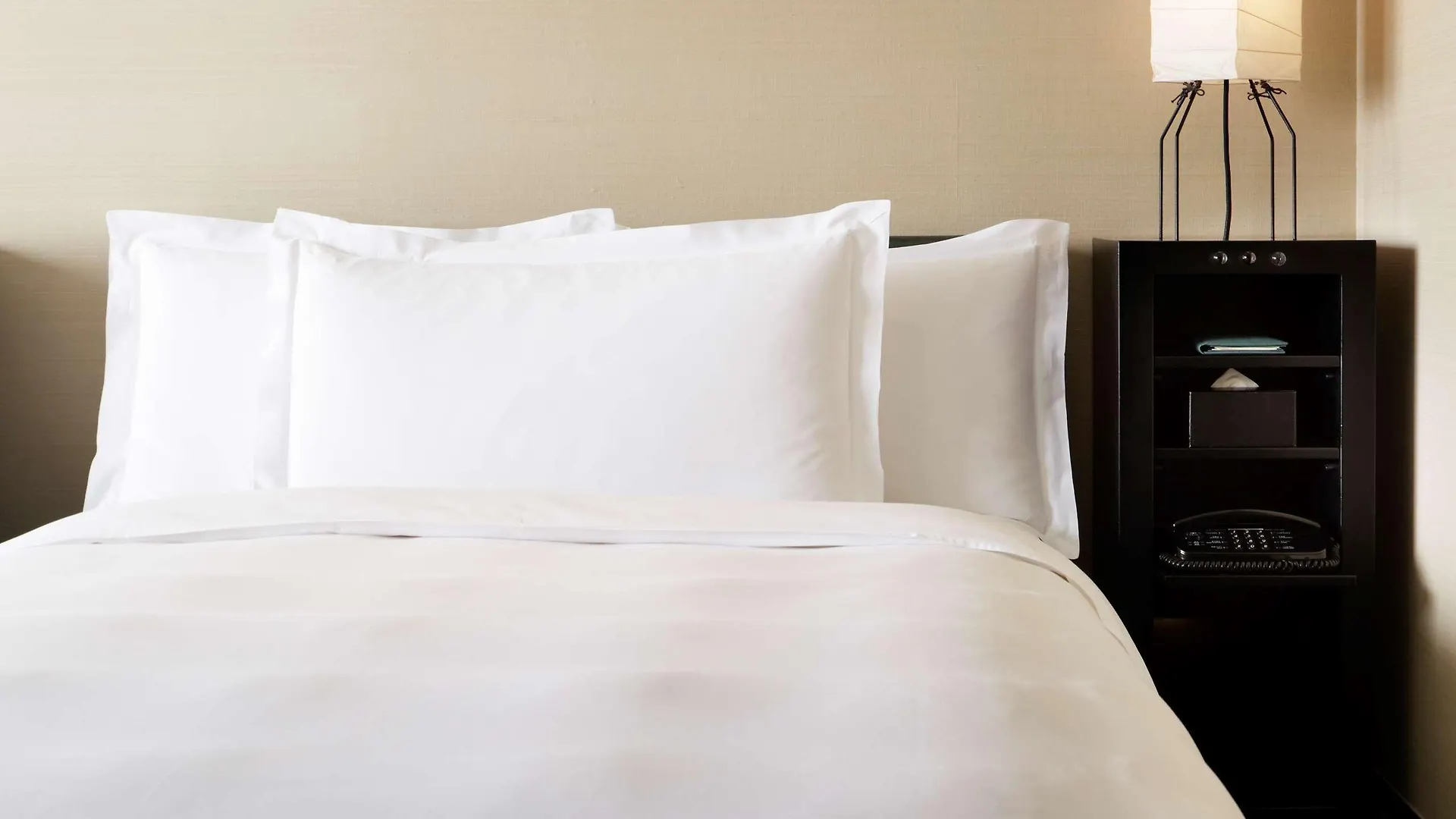 מלון Park Hyatt טוקיו 5*,
