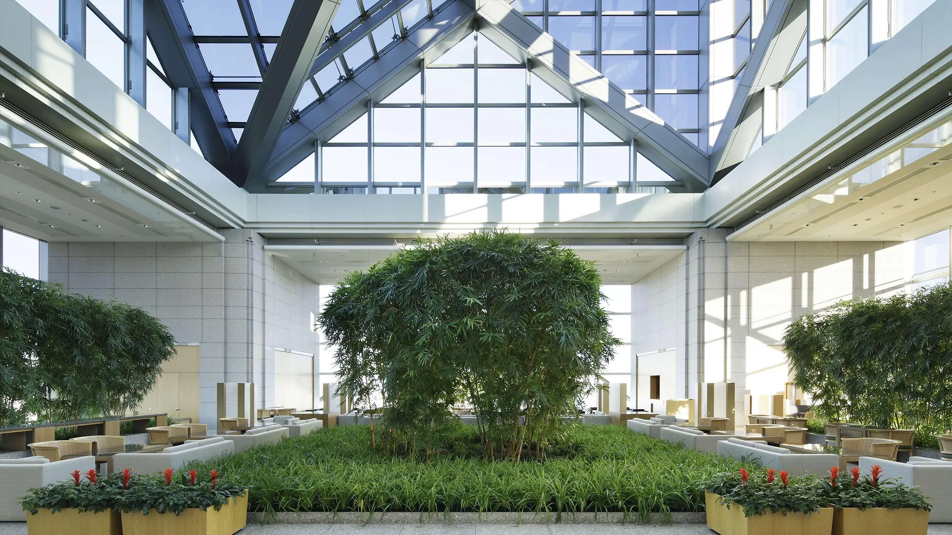 *****  מלון Park Hyatt טוקיו יפן