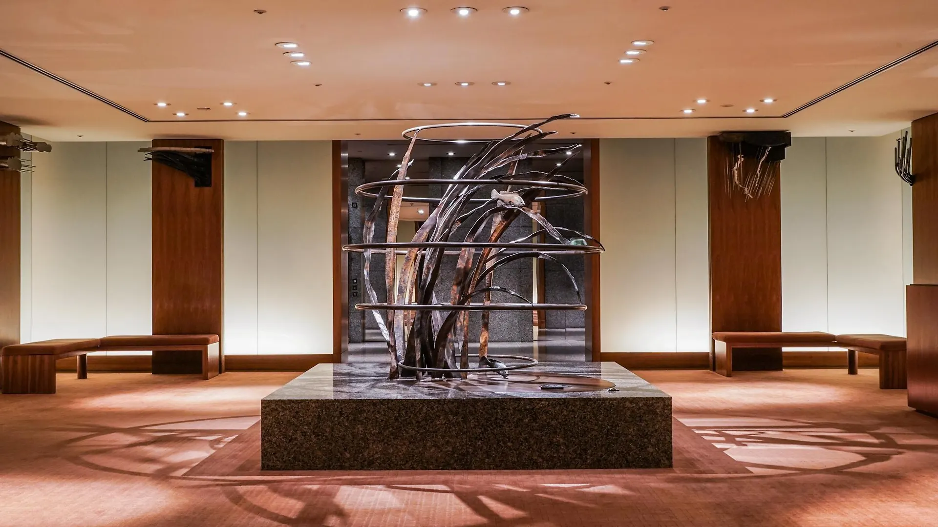 מלון Park Hyatt טוקיו
