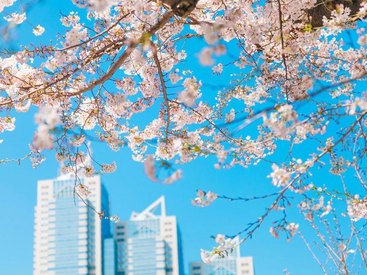 Park Hyatt Tokyo Hotel 5*,  Japan