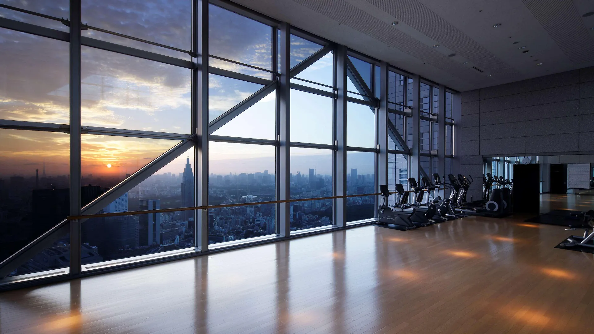 Park Hyatt Tokyo Hotel 5*,